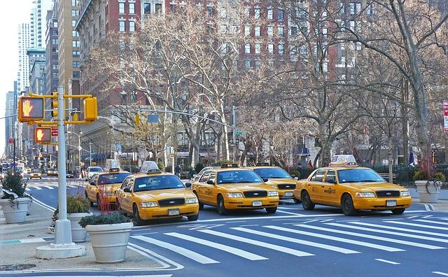 Six NYC taxi cabs waiting at an intersection.