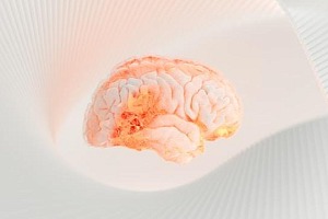 An image of a white and orange colored brain on a white background.